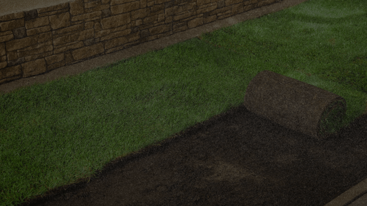 Fresh sod being rolled out in Ottawa Illinois by Mack Construction